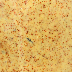 Mostarda Dijon Fermentada 1